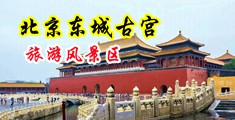 粉逼17p中国北京-东城古宫旅游风景区